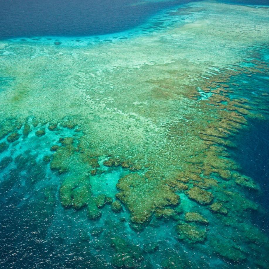 Img papua 063x