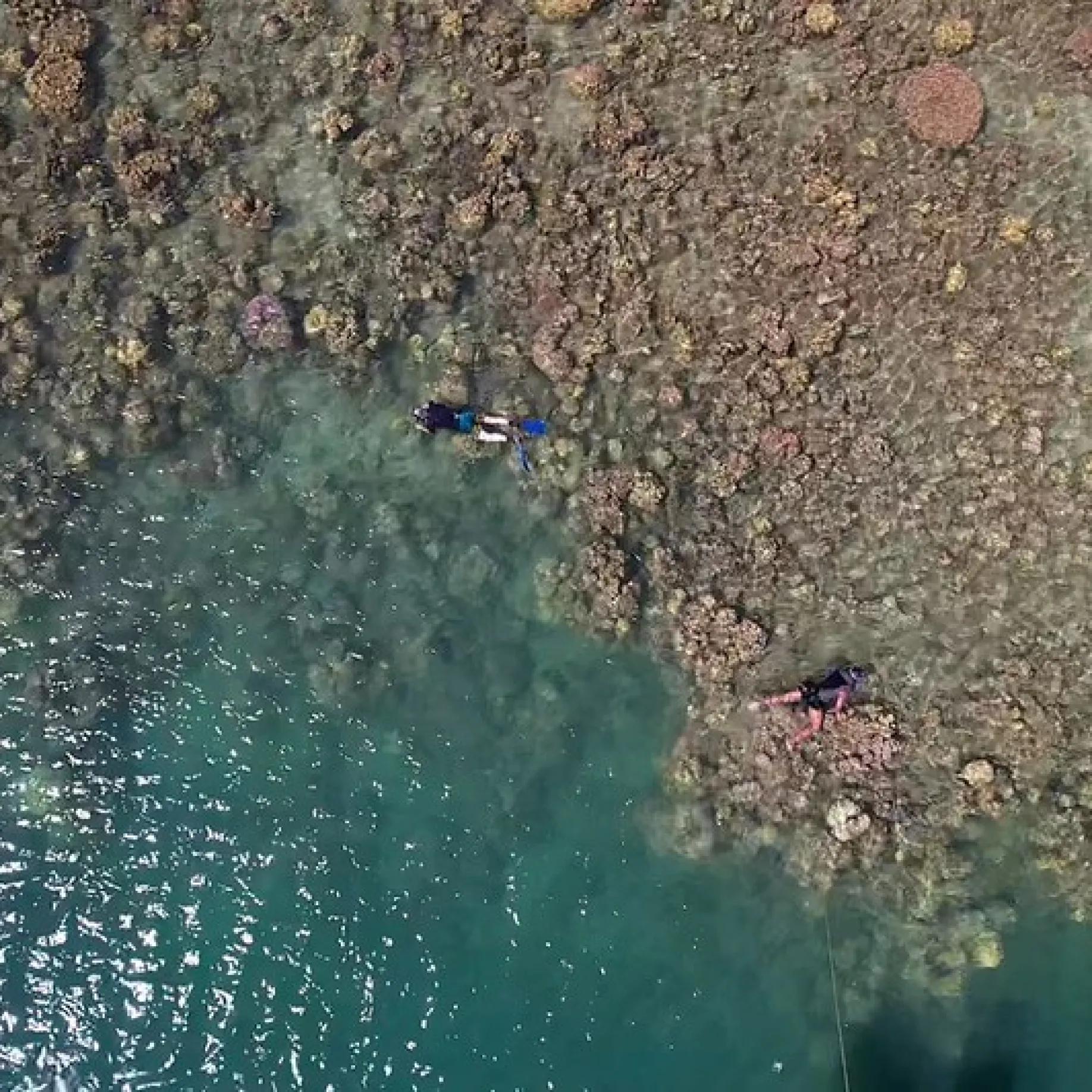 Imgfiji02