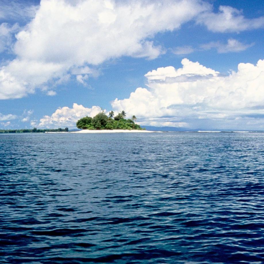 Img papua 013x