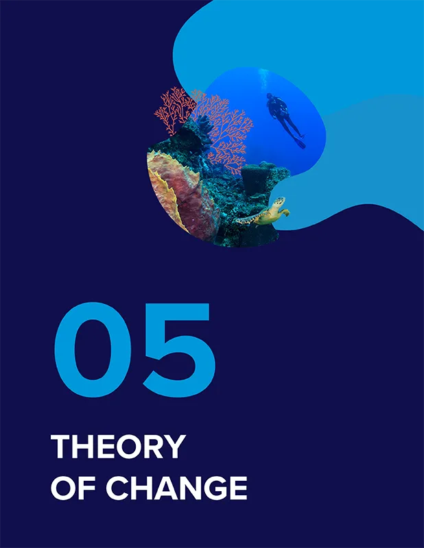 Theory of change report cover