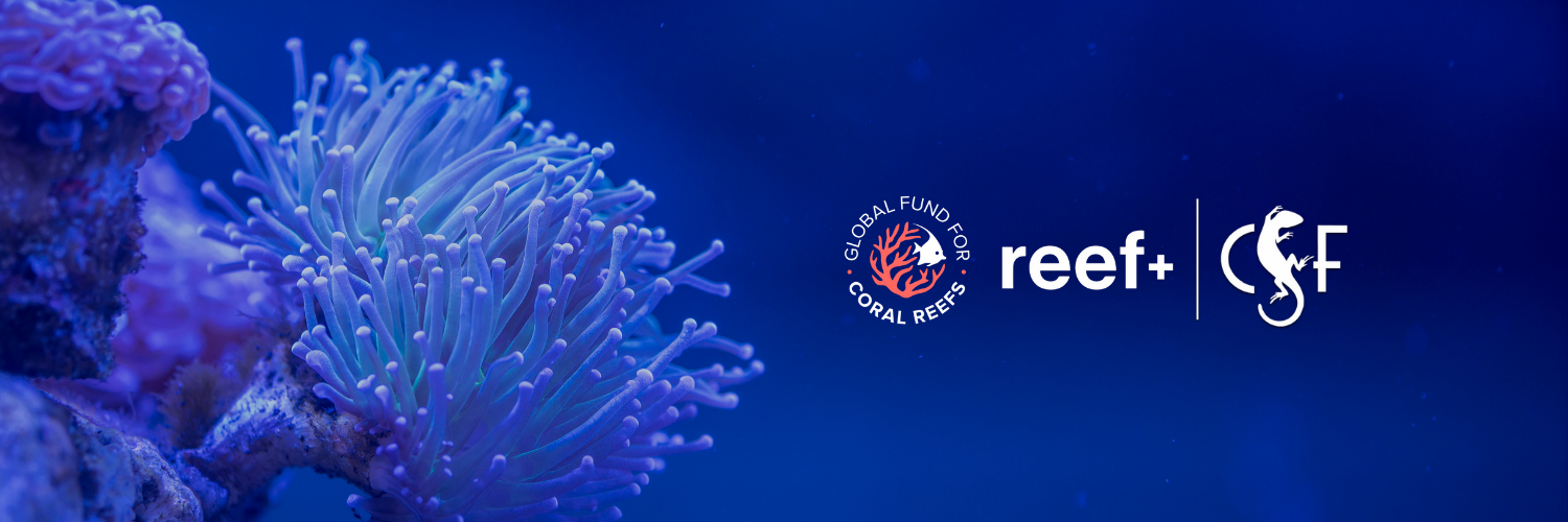 Social and environmental safeguards