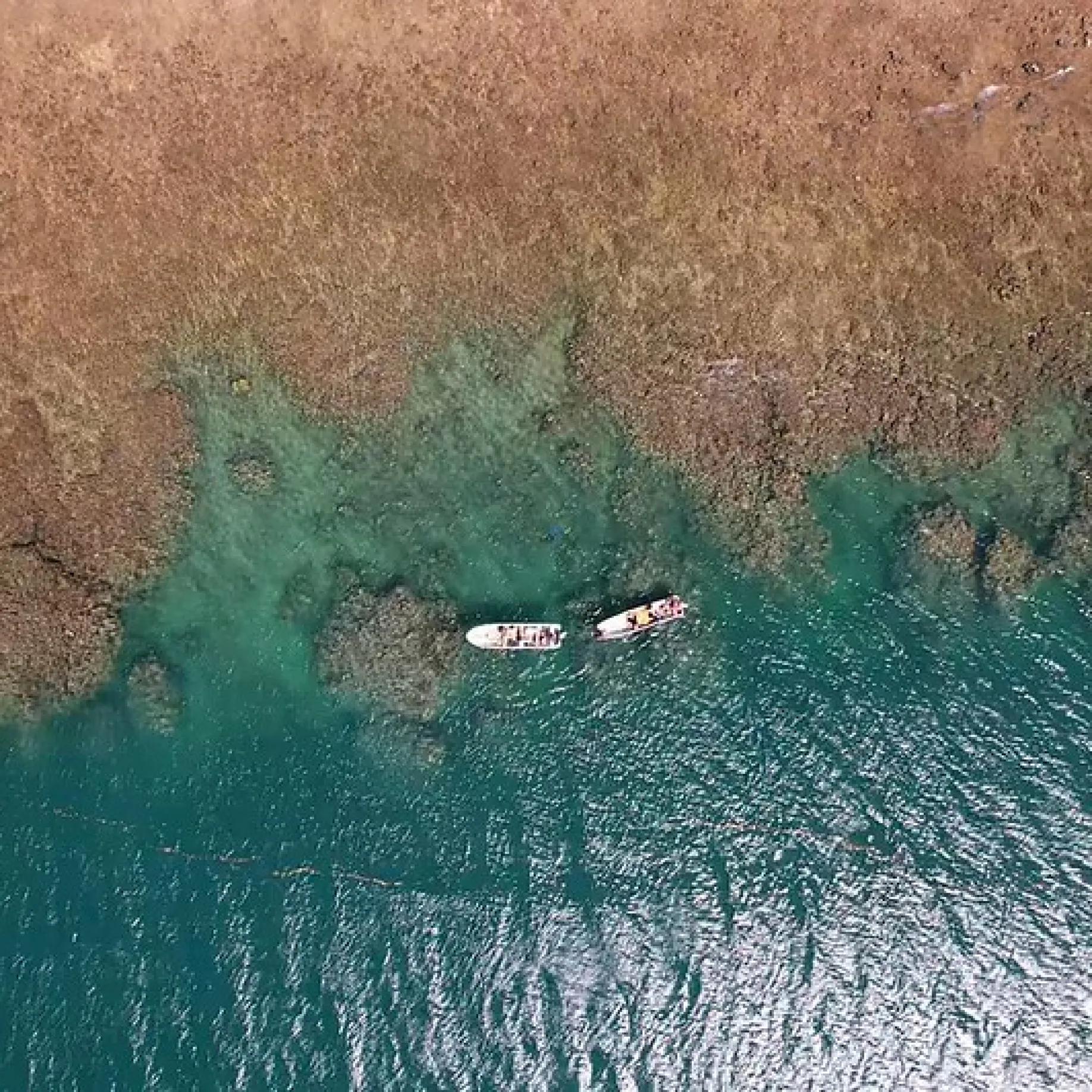 Imgfiji06