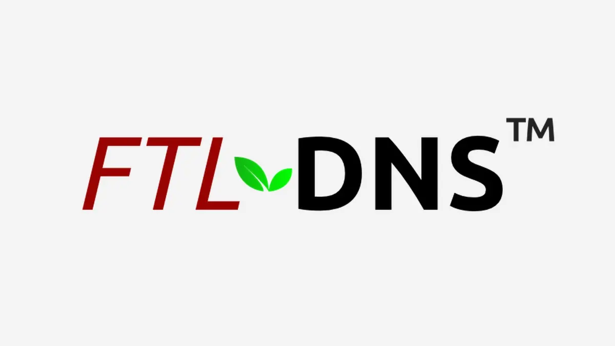 The FTLDNS wordmark centred on a pale grey background: FTL in dark red, DNS in black, and a green two-leaf symbol between them.