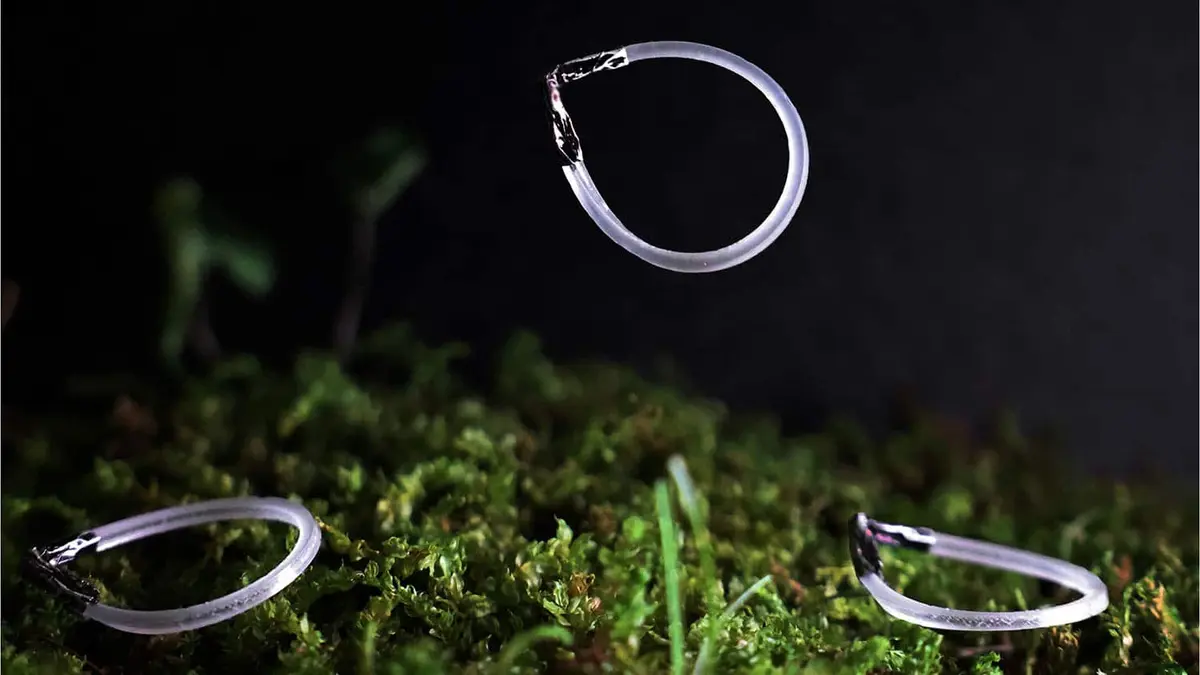 Light-powered soft robot ring leaping from a surface during a North Carolina State University experiment.