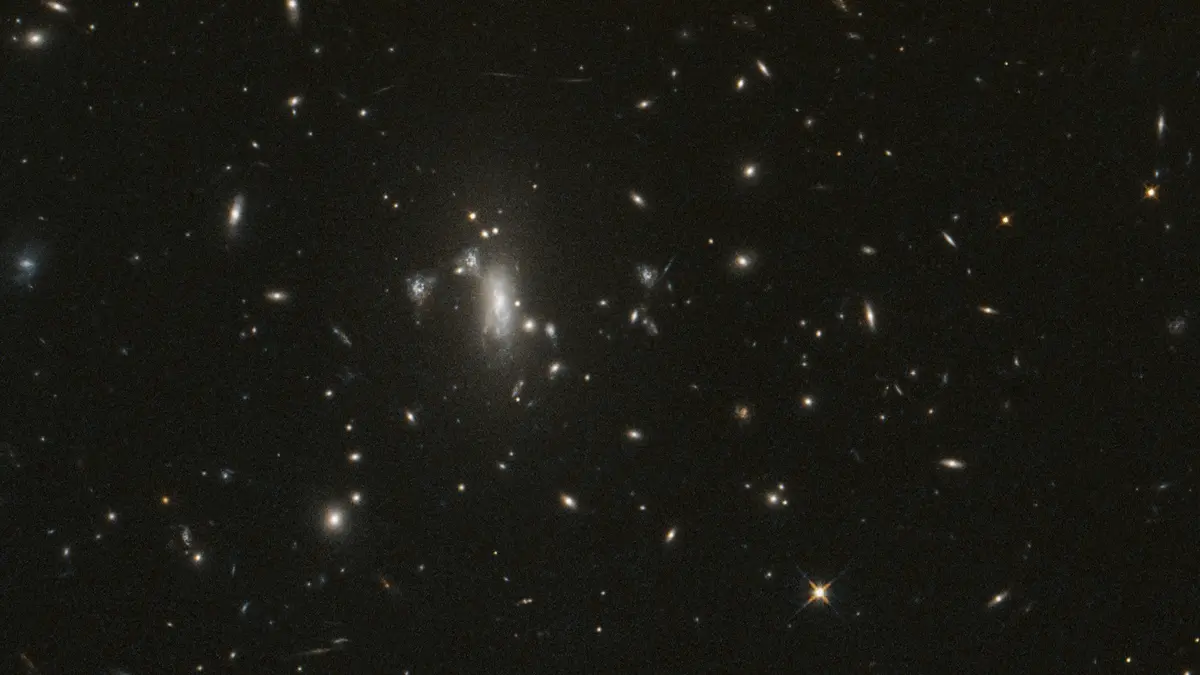 A deep field of stars and distant galaxies with a dense galaxy cluster glowing slightly left of centre and a bright spiked star in the lower right, imaged by the Hubble Space Telescope