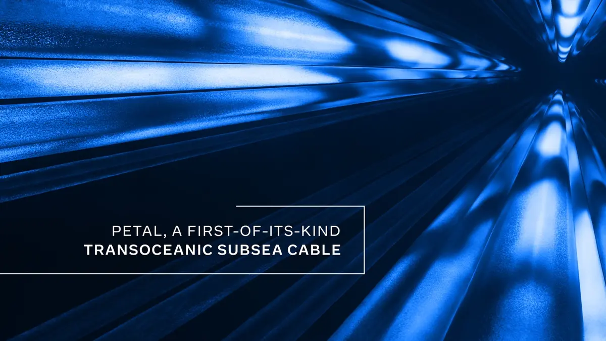 An abstract blue render of fibre-optic strands radiating from a dark centre, captioned "Petal, a first-of-its-kind transoceanic subsea cable".