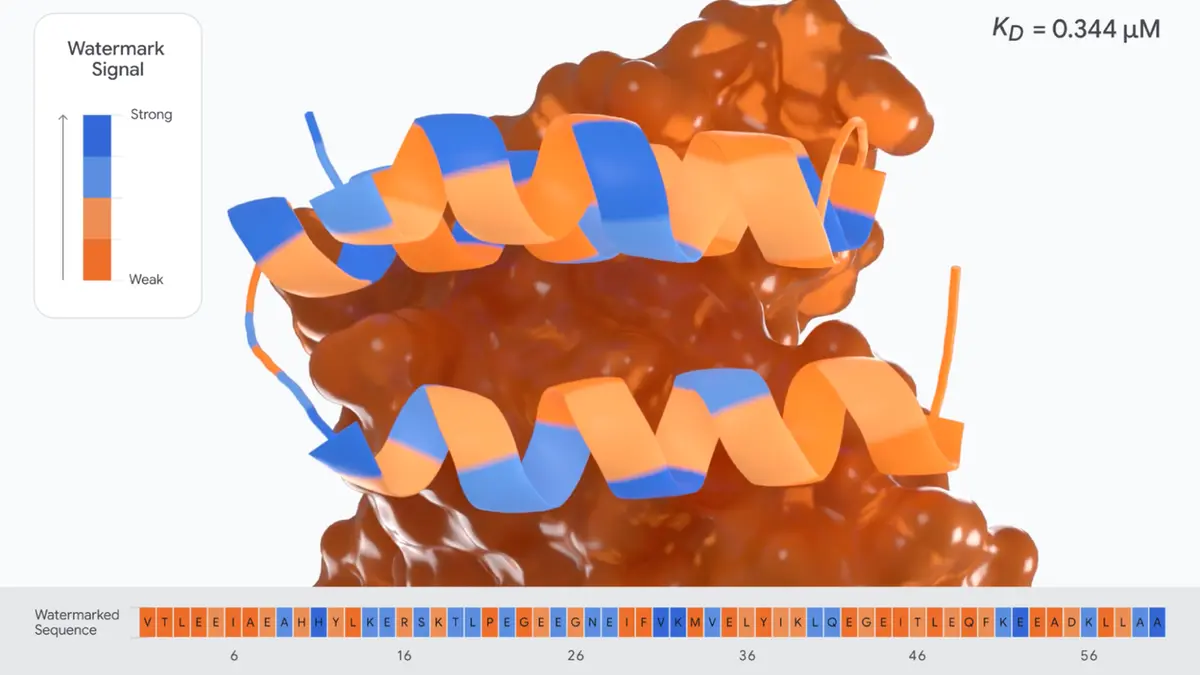A visualisation of a watermarked VEGF-A protein binder in orange, threaded by a blue and orange ribbon coloured by watermark signal strength, with the watermarked amino acid sequence listed beneath