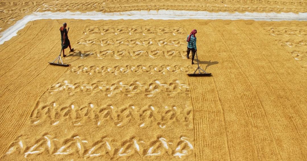 Imagen referencial: Dos agricultores trabajando en un campo iluminado por el sol en Habra, India, vistos desde arriba.