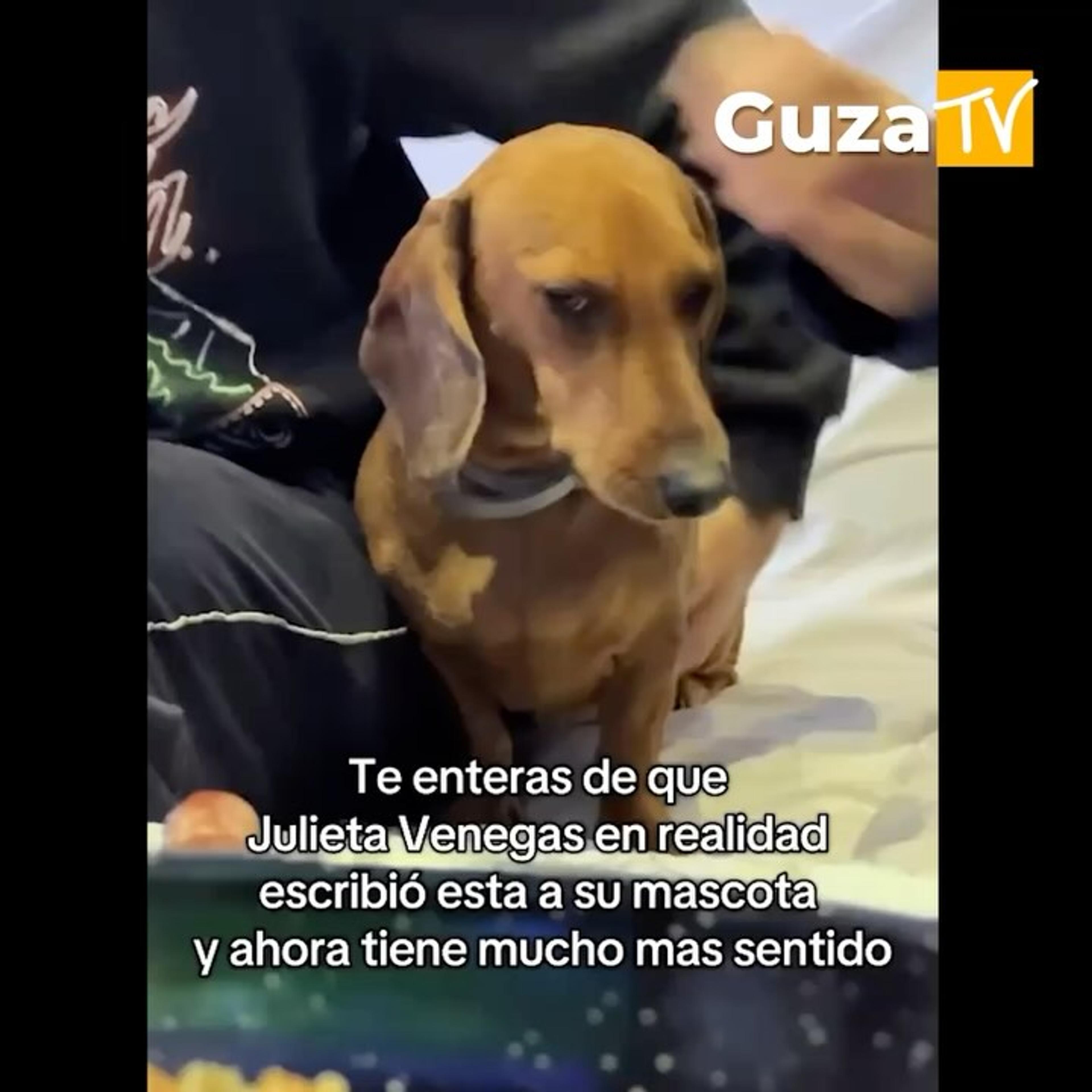Foto 2 de 3: Un video viral de tik tok asegura que la icónica canción de Julieta Venegas, “Limón y Sal”, estaría…