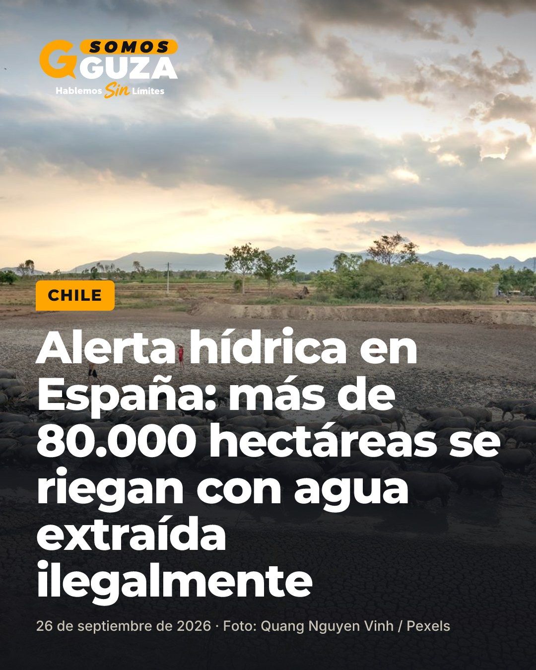Foto 1 de 2: Alerta hídrica en España: más de 80.000 hectáreas se riegan con agua extraída ilegalmente