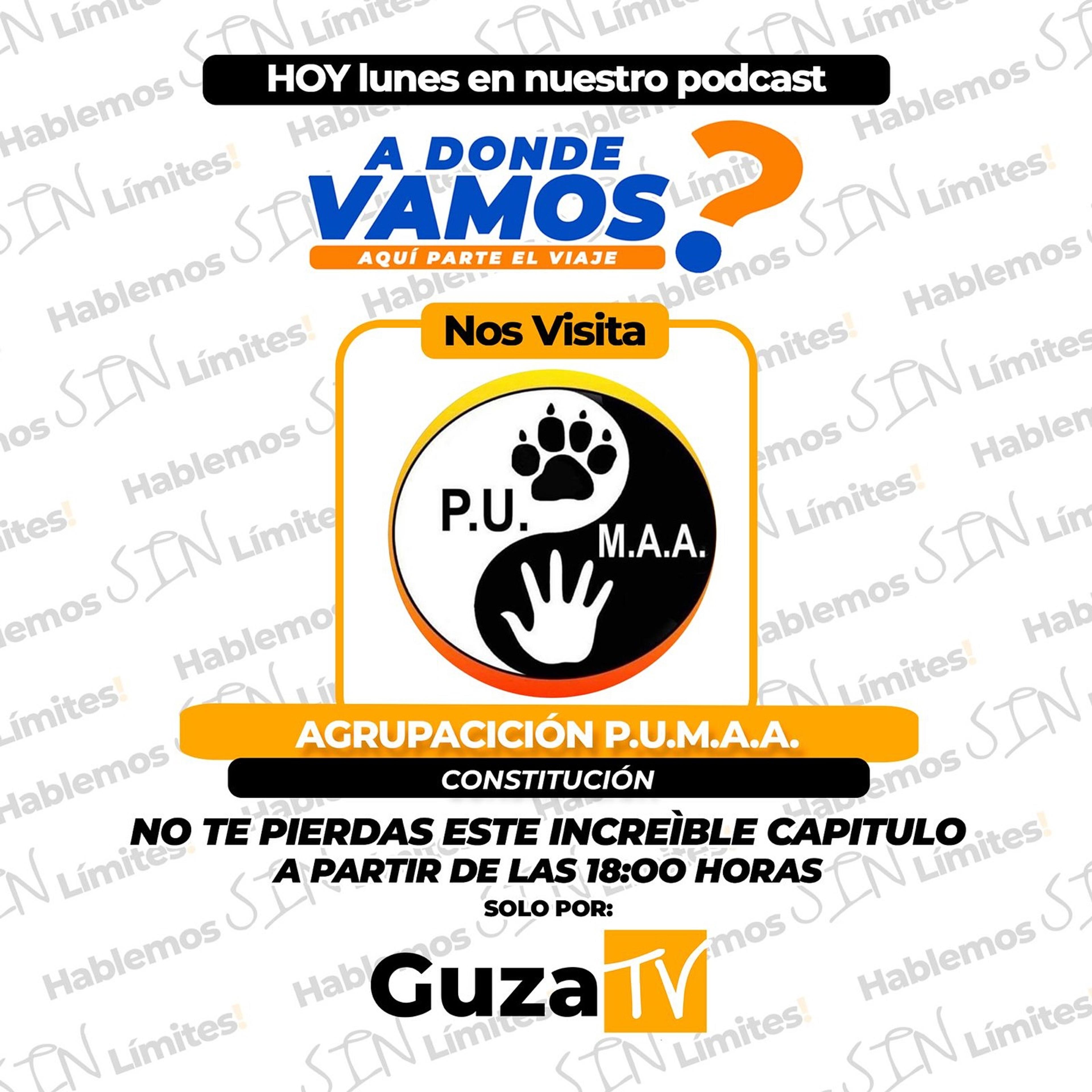 Hoy nos visita la Agrupación PUMA, una organización dedicada a rescatar, proteger y dar una segunda…