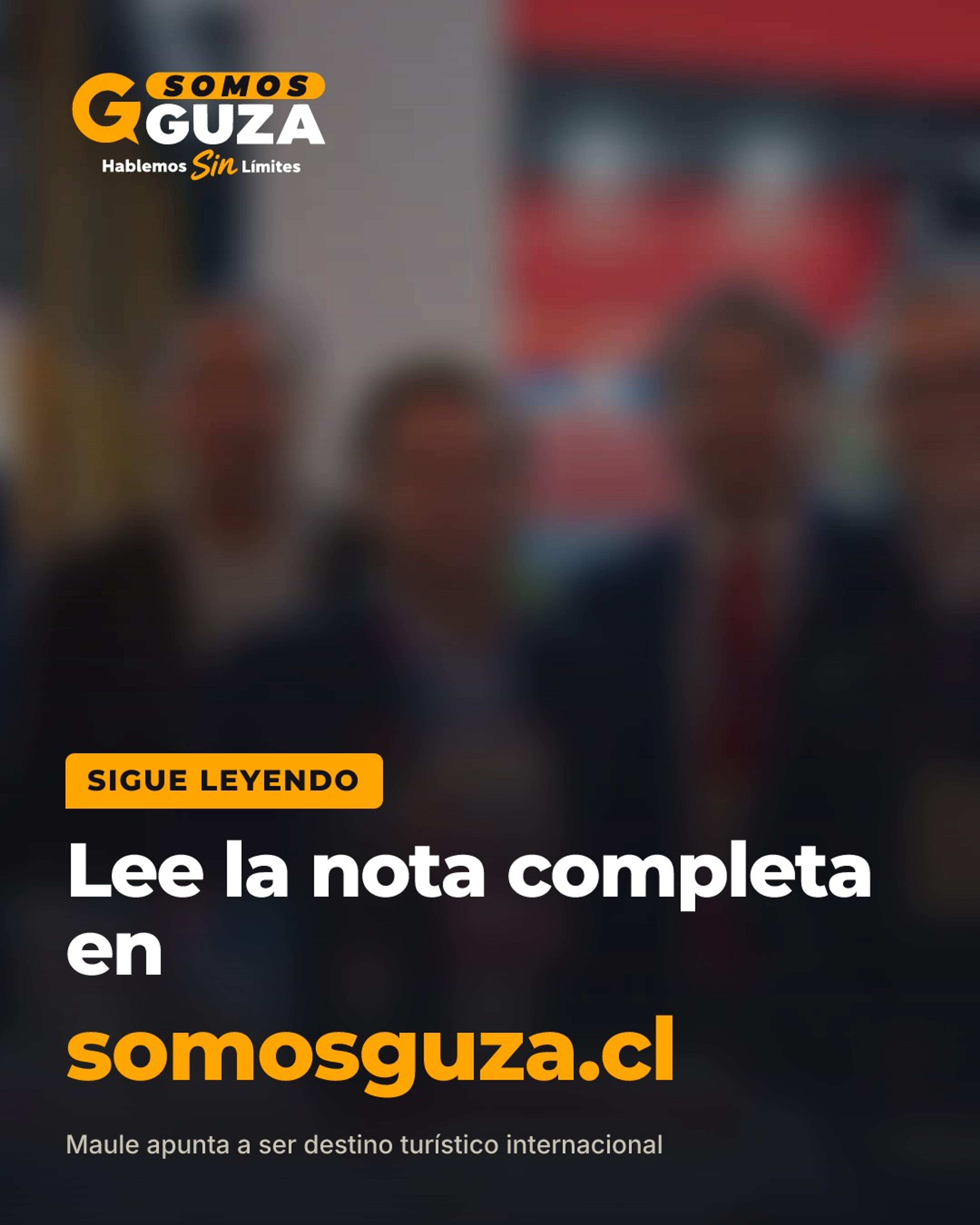 Foto 4 de 4: Maule apunta a ser destino turístico internacional