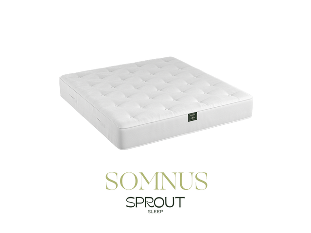 Sprout Somnus mattress