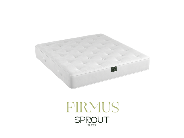 Sprout Firmus mattress