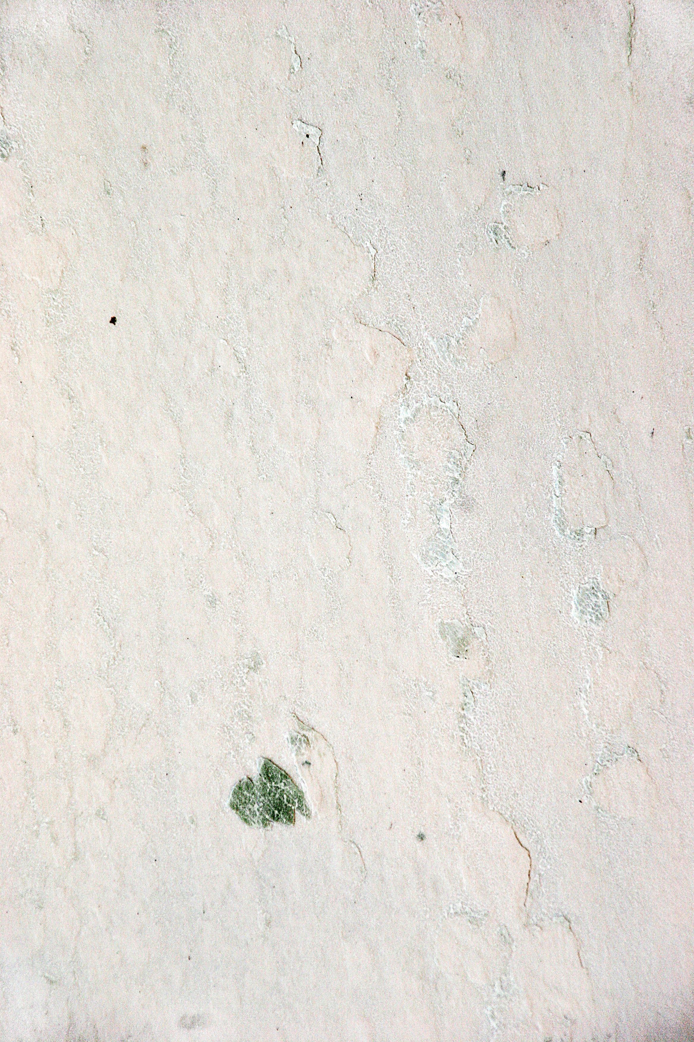 D.95.024 Ice Pearl