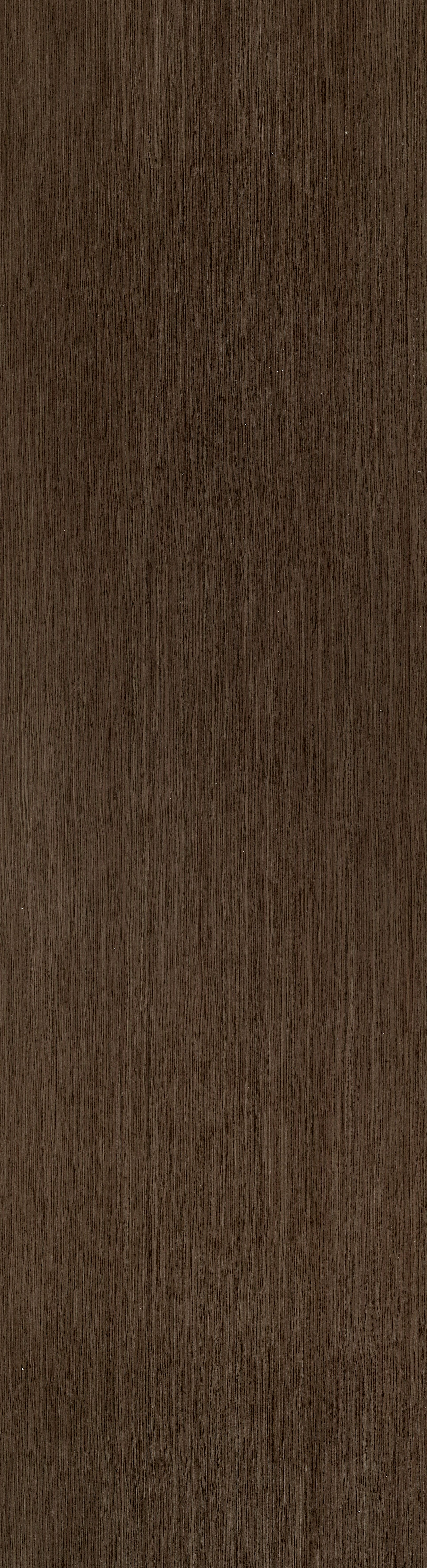 D.91.028 ALPI Choko Oak