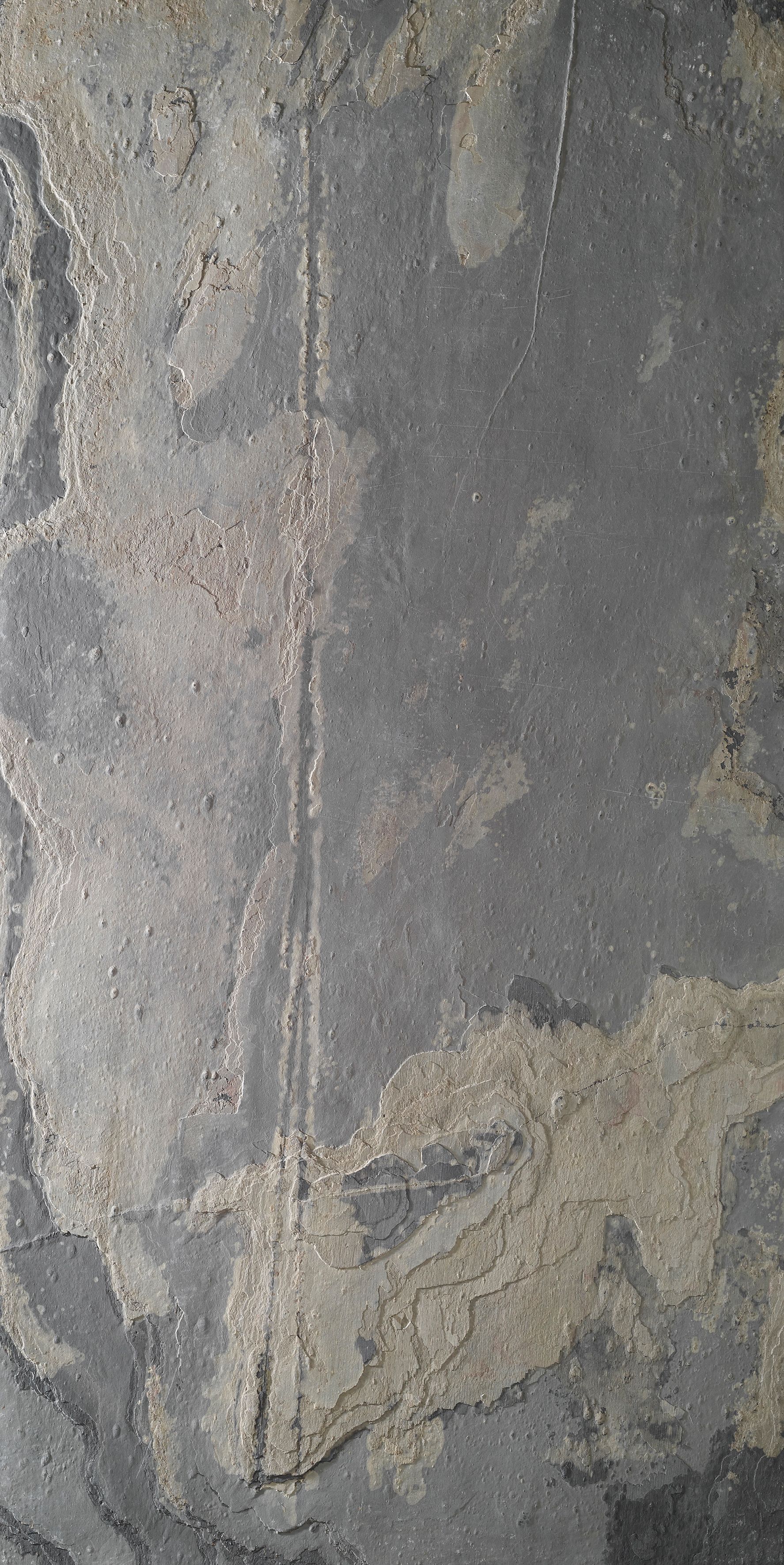 D.95.008 Rustique