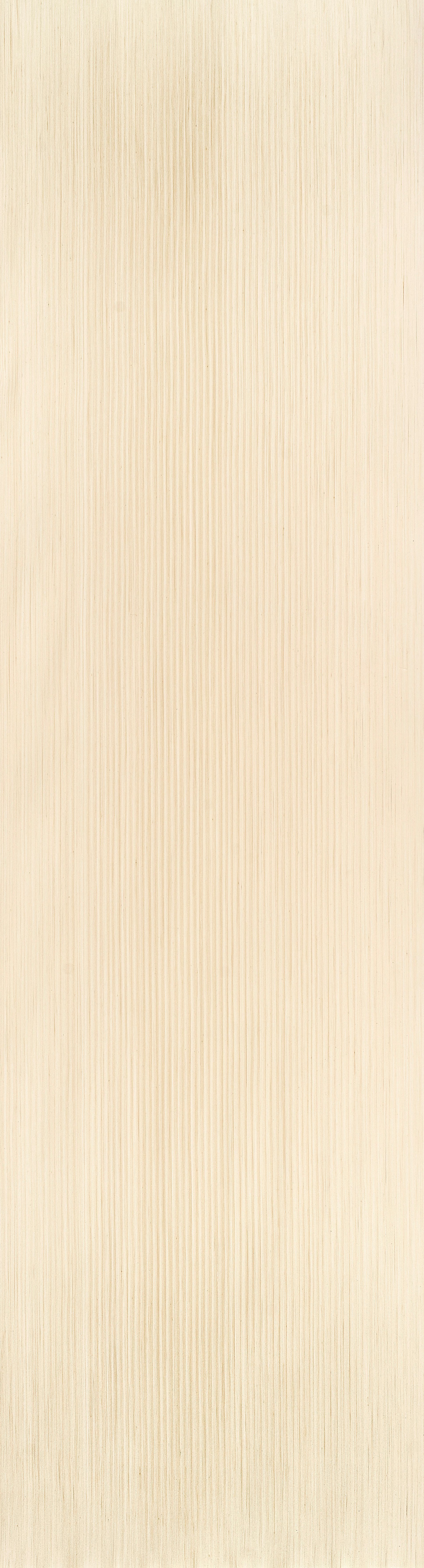 D.91.017 ALPI Albino Maple