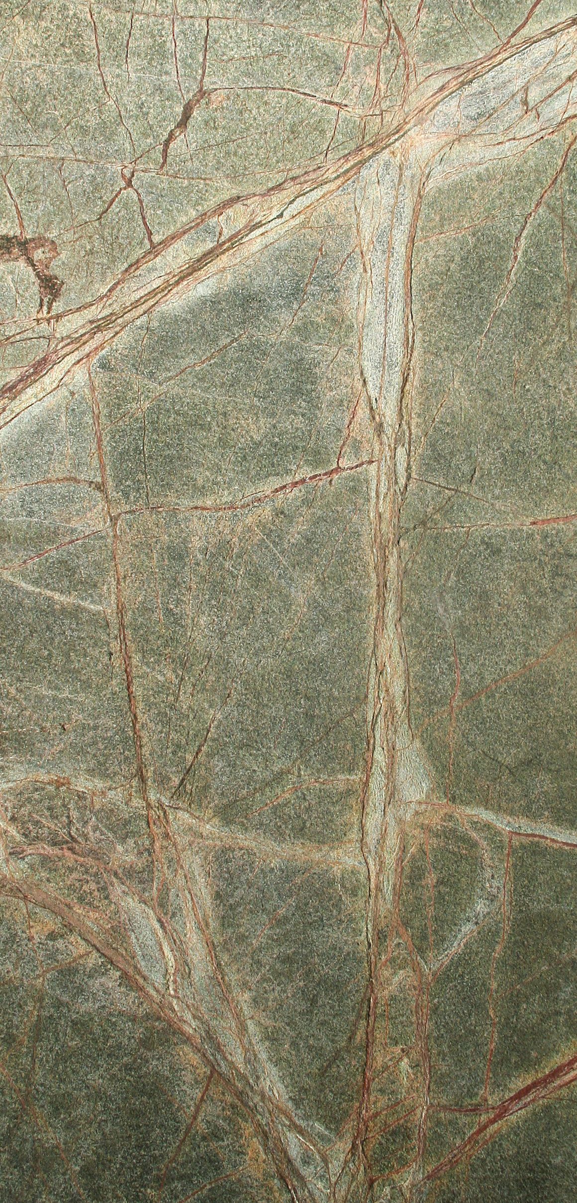 D.95.032 Rainforest Green