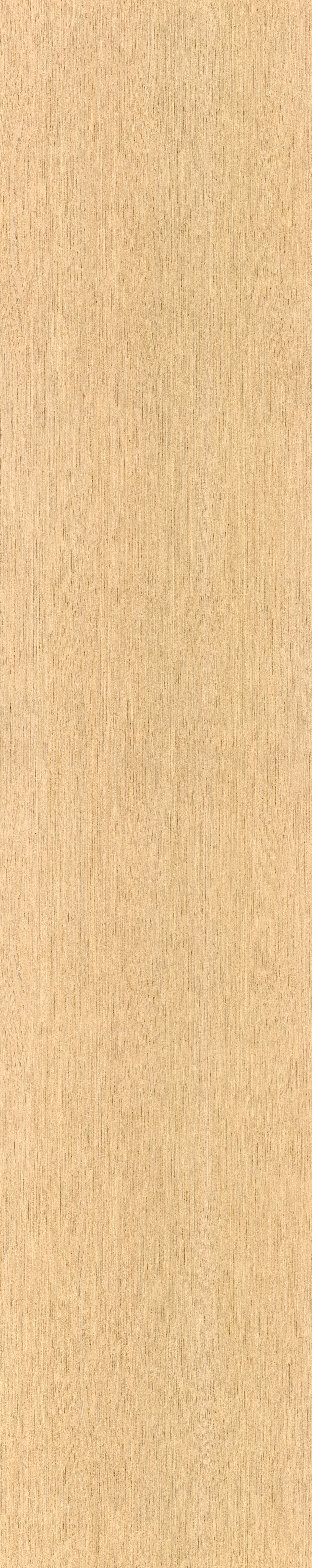 12.84 ALPI Slavony Oak