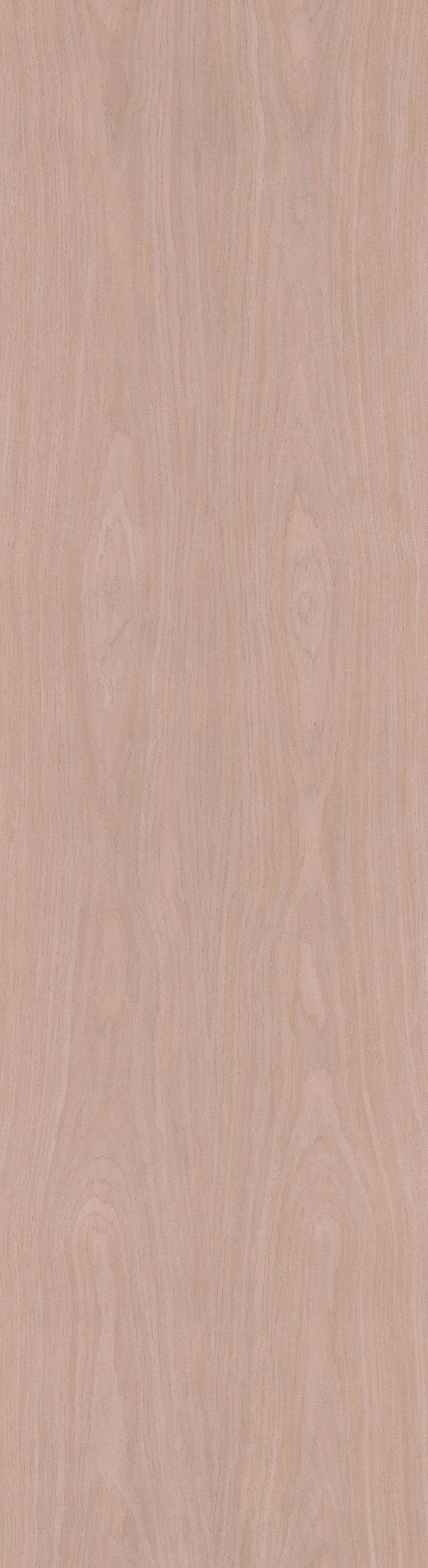 18.87 ALPI Xilo Blush Cherry 2-Flamed Curated by Piero Lissoni