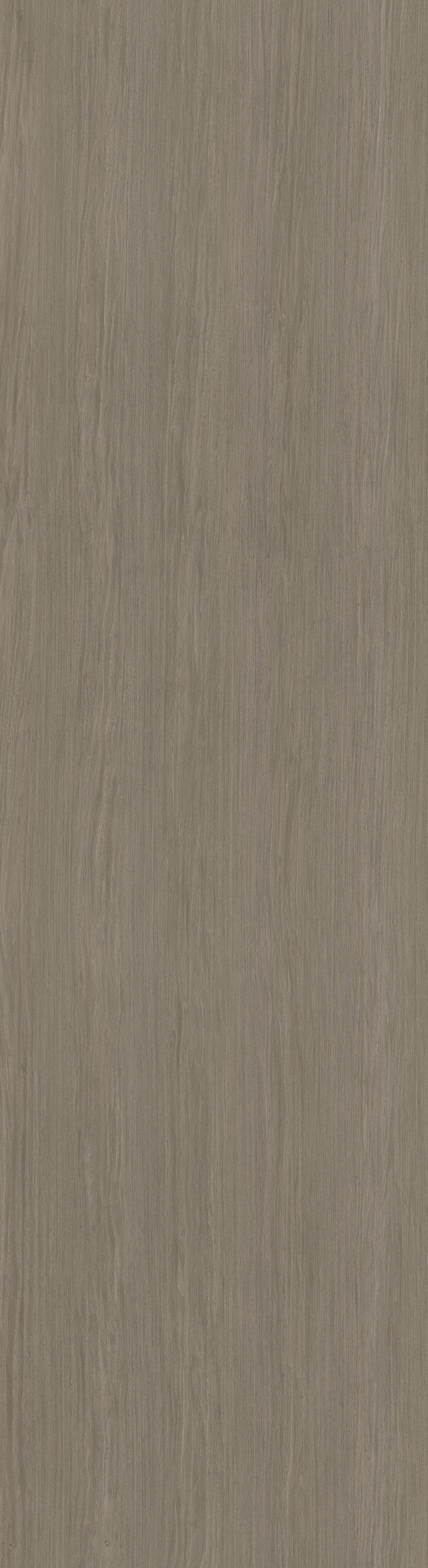 11.05 ALPI Titanium Oak