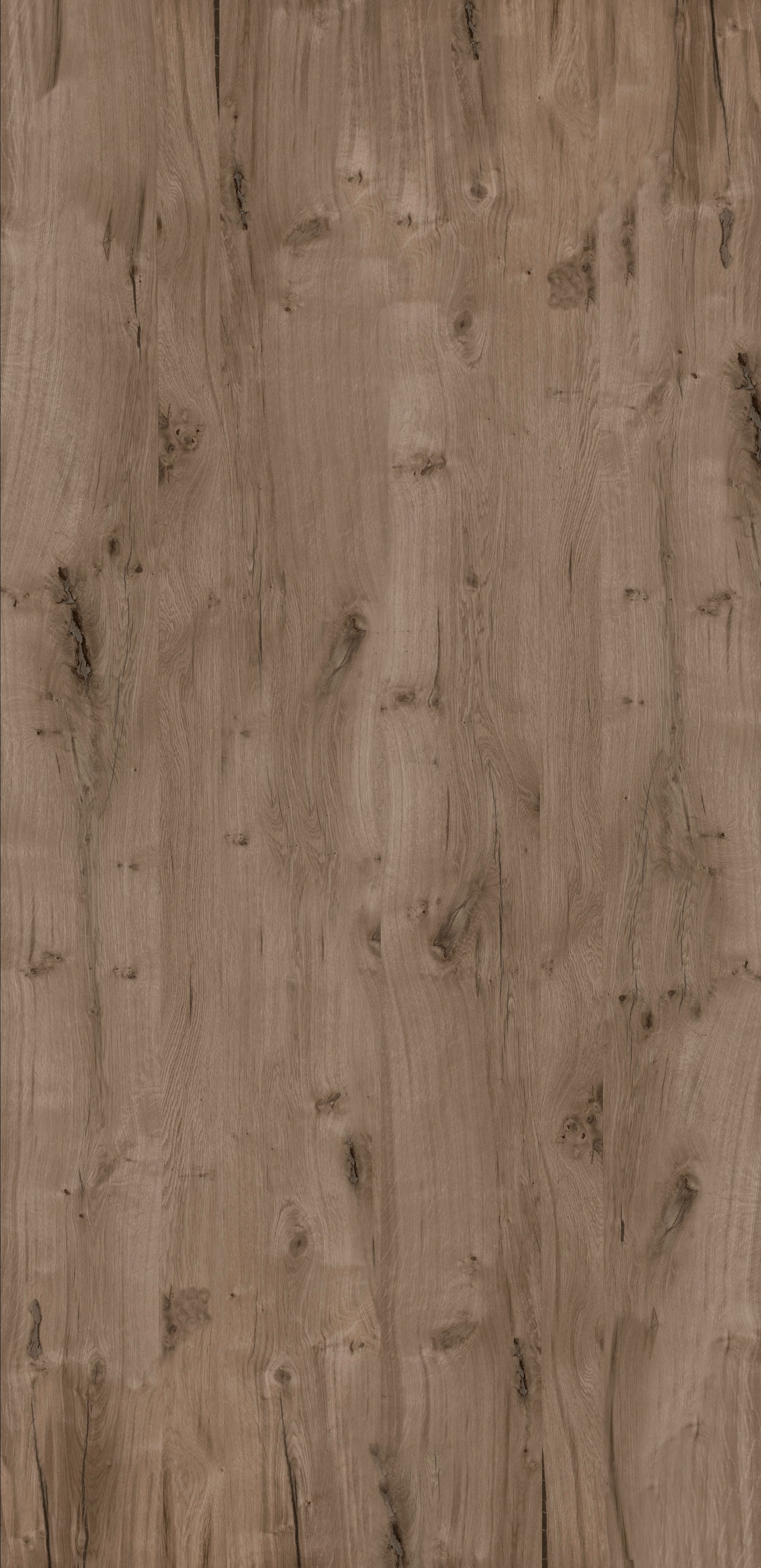 D.94.109 Balken-Eiche-Furnier Sasso; 1,0mm; astig; grau; geprägt/gebürstet; vlieskaschiert