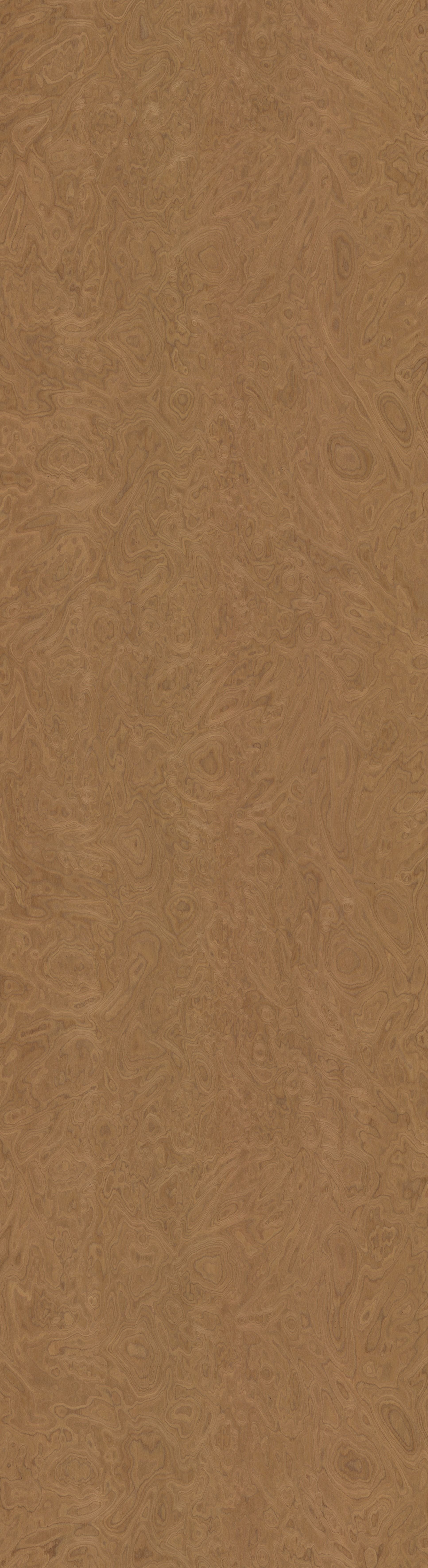10.07 ALPI Walnut Burl