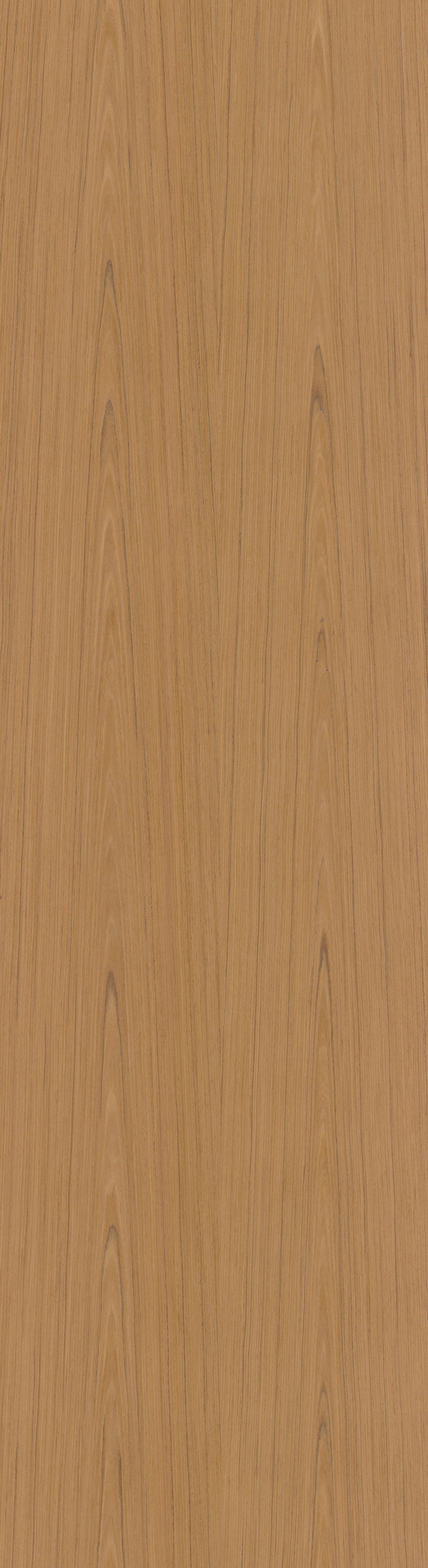 10.73 ALPI Teak 2-Flamed Curated by Piero Lissoni
