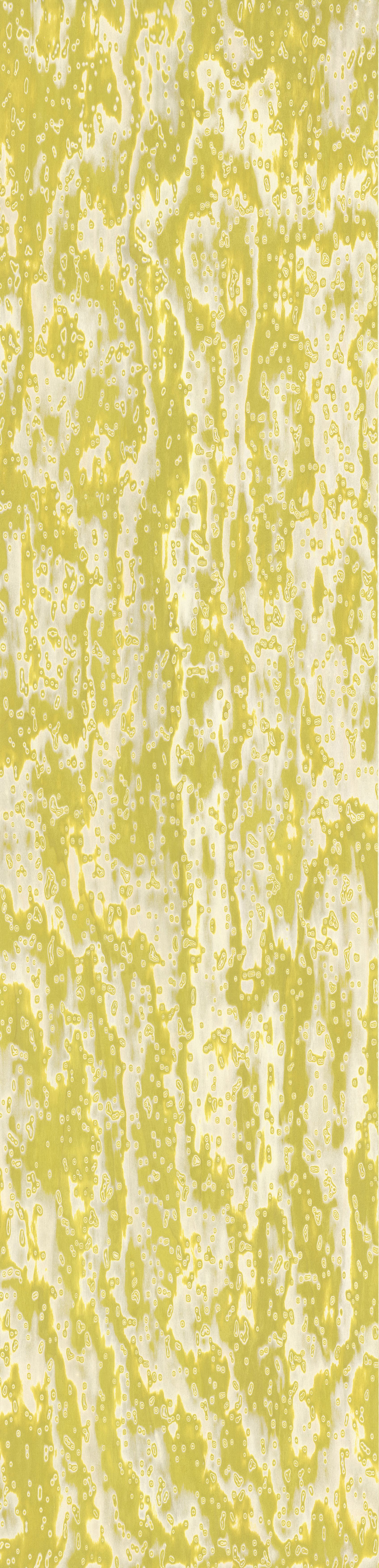 18.35 Wooclé Yellow - Design GamFratesi
