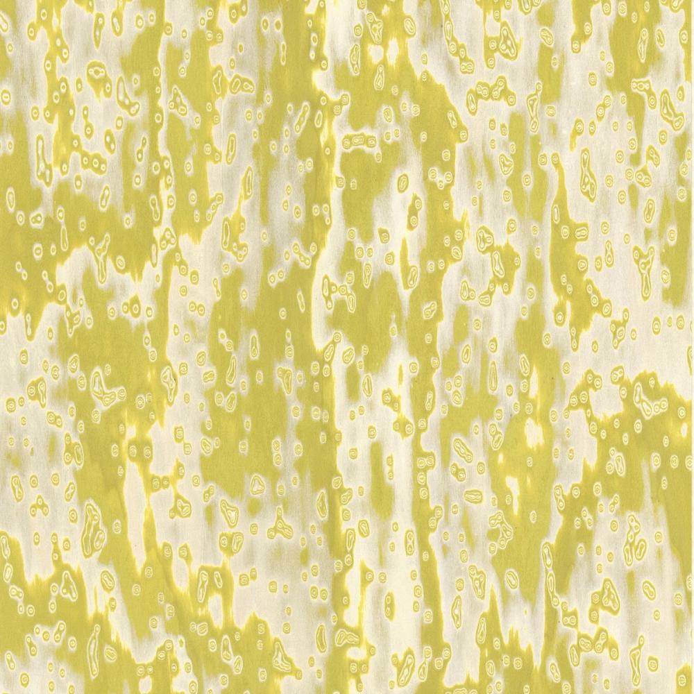 18.35 Wooclé Yellow - Design GamFratesi
