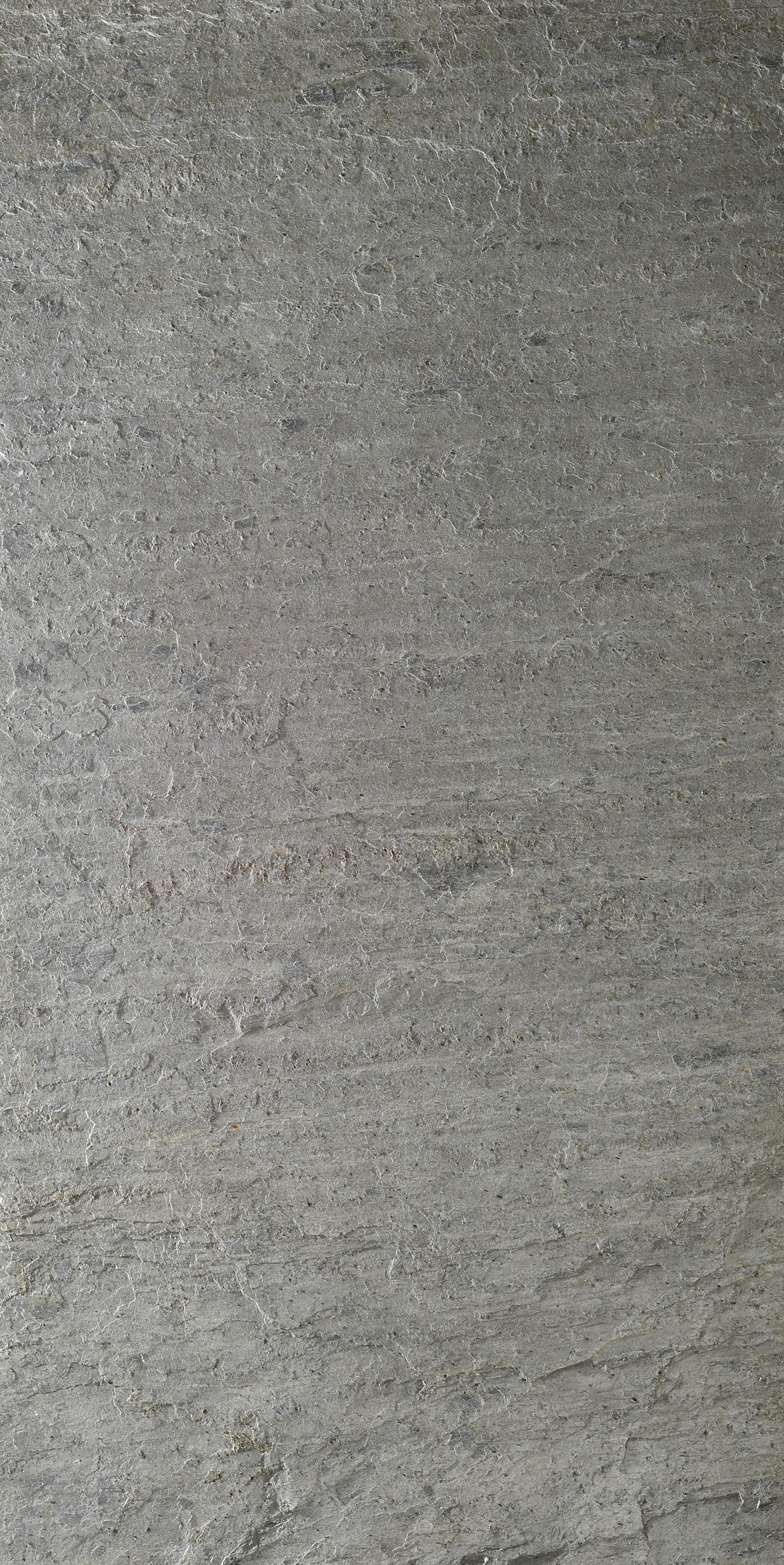D.95.020 Silver Grey