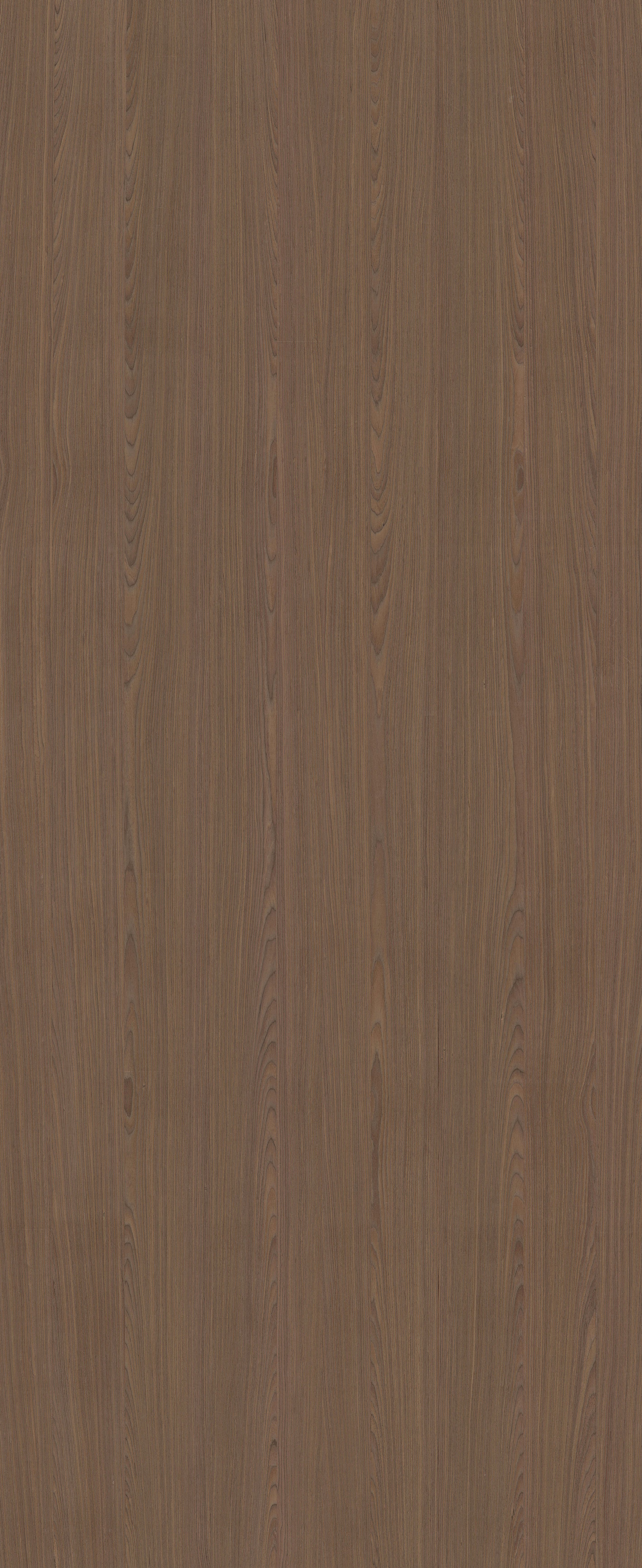 10.17 F Xilo Walnut Planked Curated by Piero Lissoni