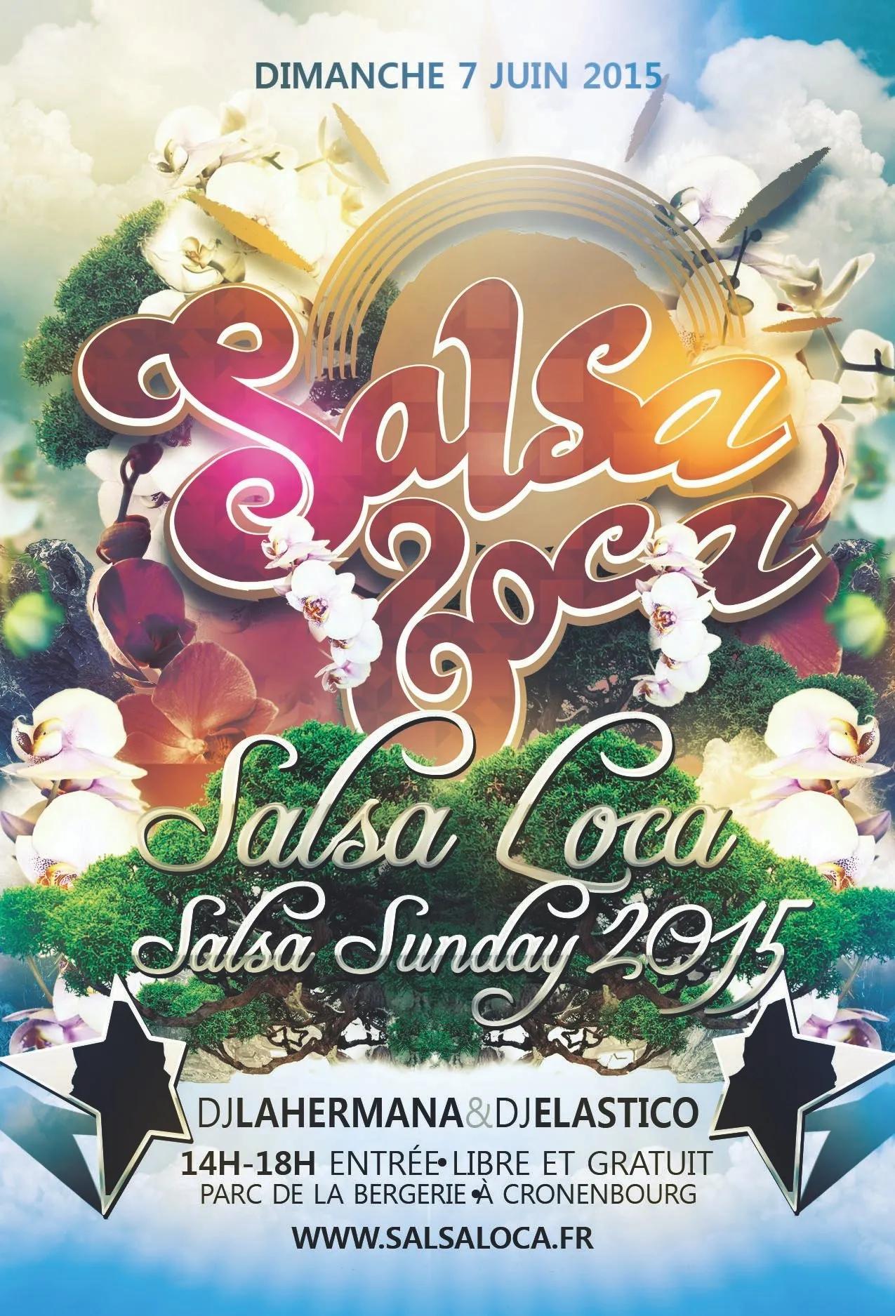 SALSA HOLIDAYS 2015