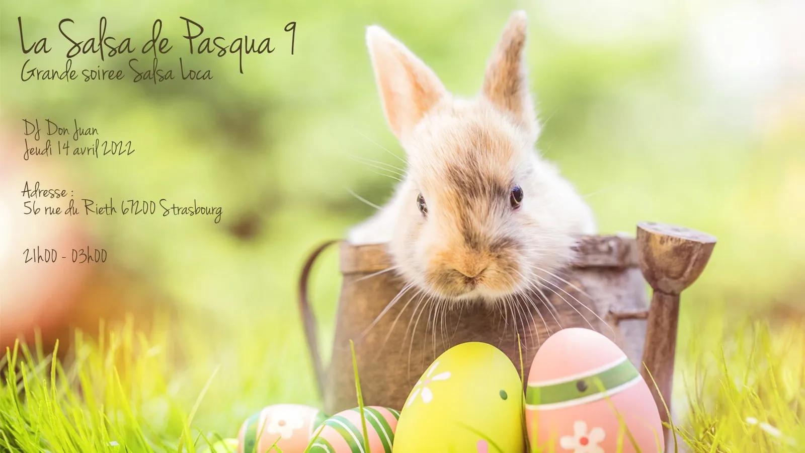 La Salsa De Pasqua 9