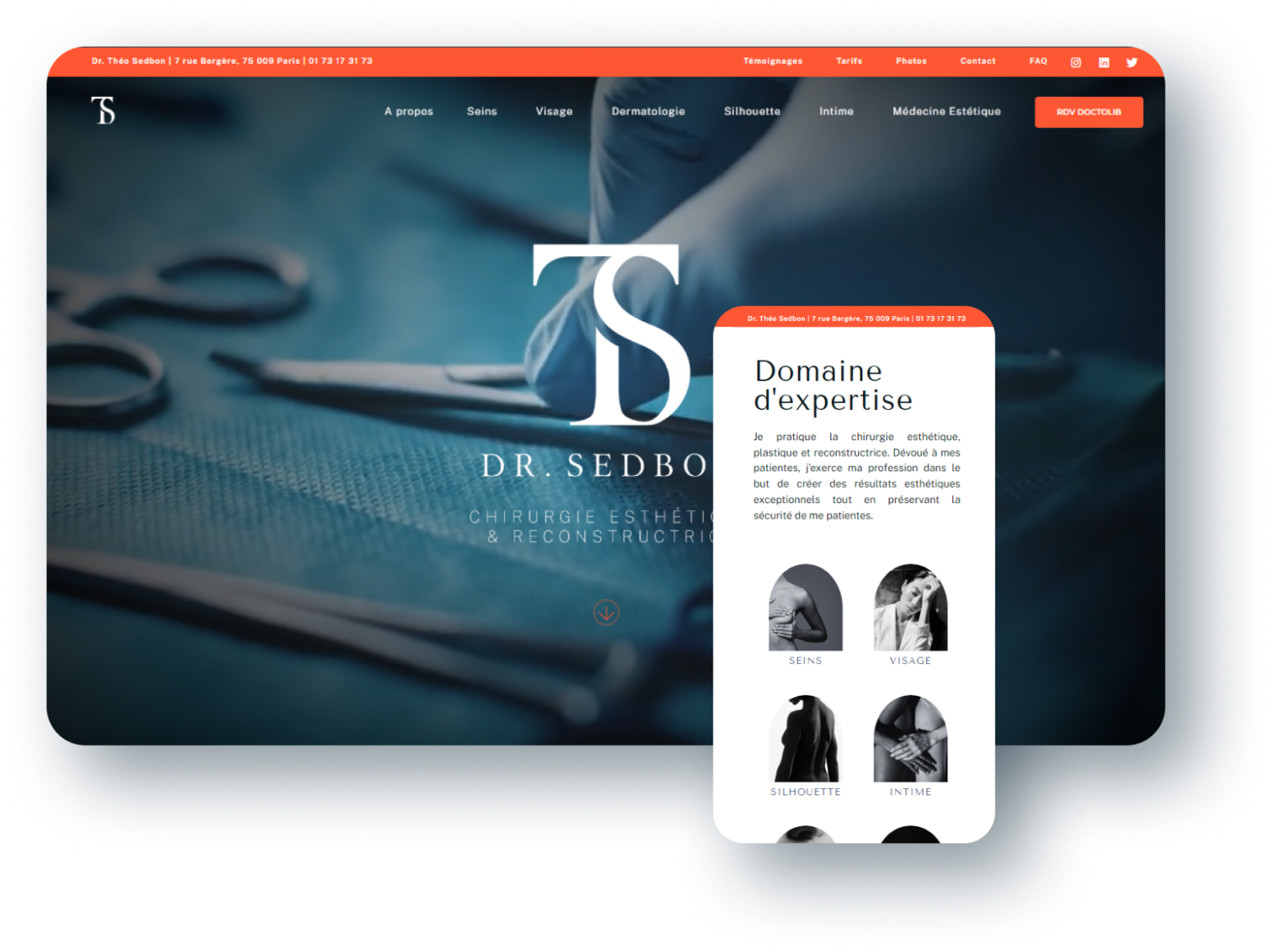 Aperçu du projet Dr Théo Sedbon