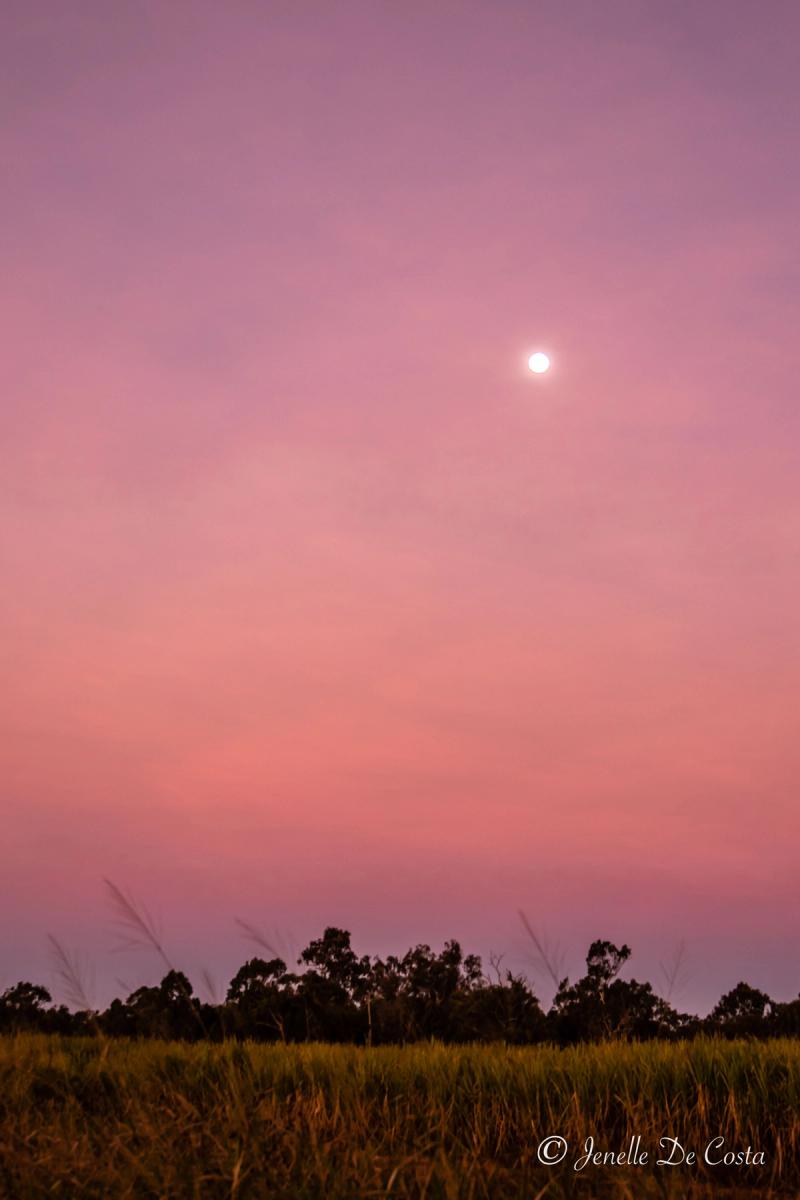 Colourful sunsets with the moon.