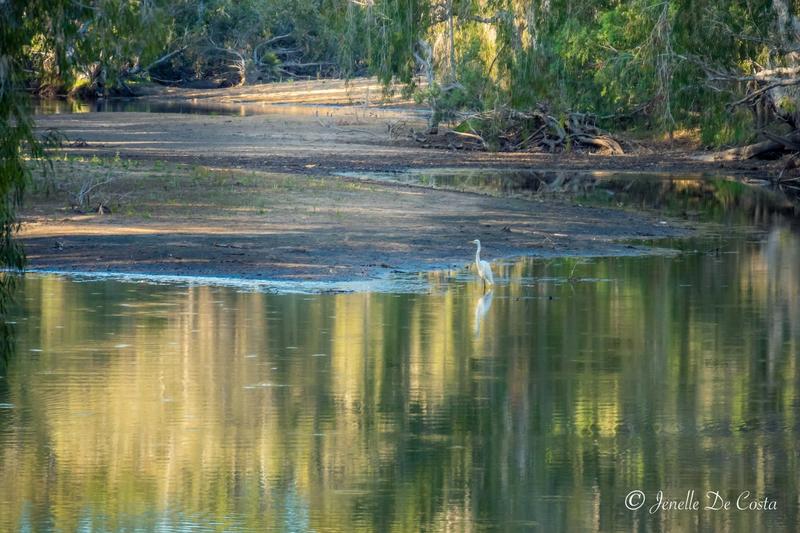 Reflections in Denison Creek.
