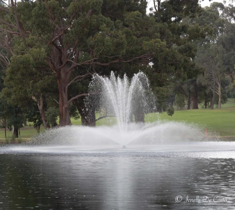 Water feature inside the local golf course.