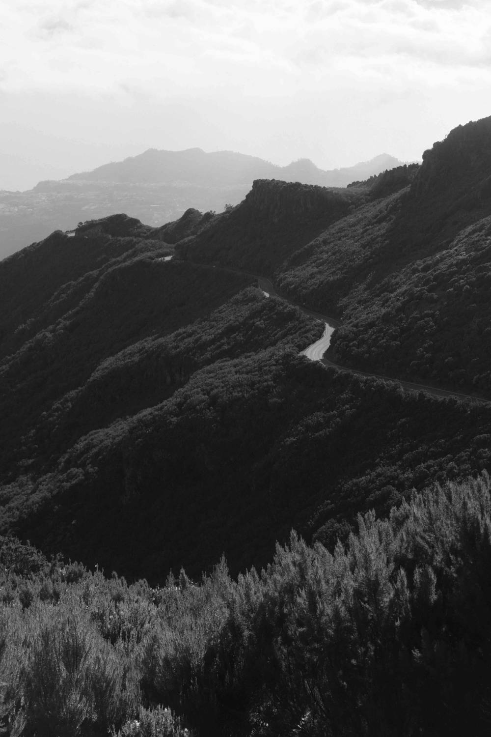 Monochrome Landscapes