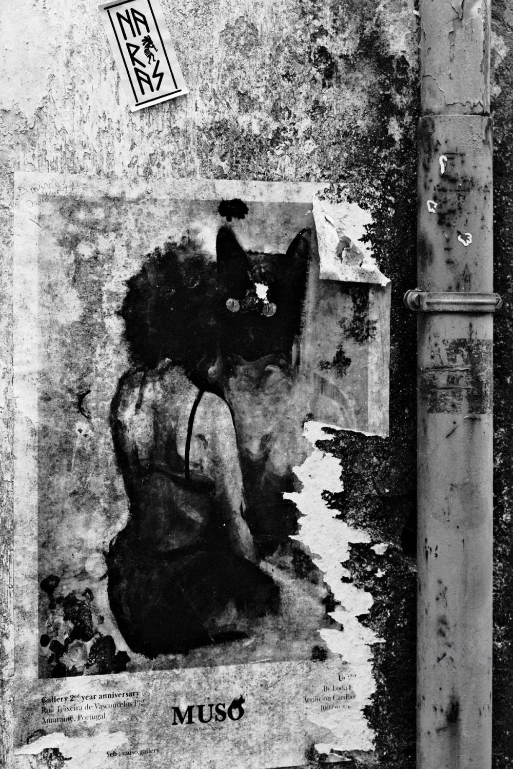 Fragments of Amarante