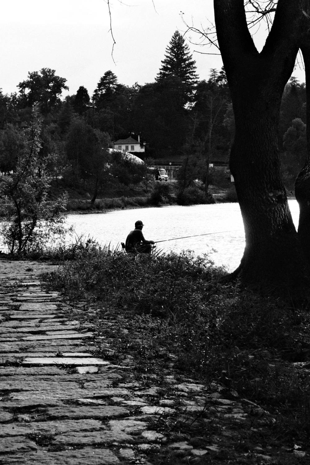 Fragments of Amarante