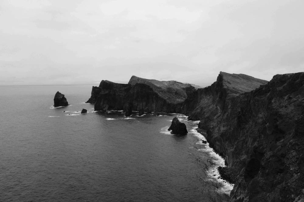 Monochrome Landscapes