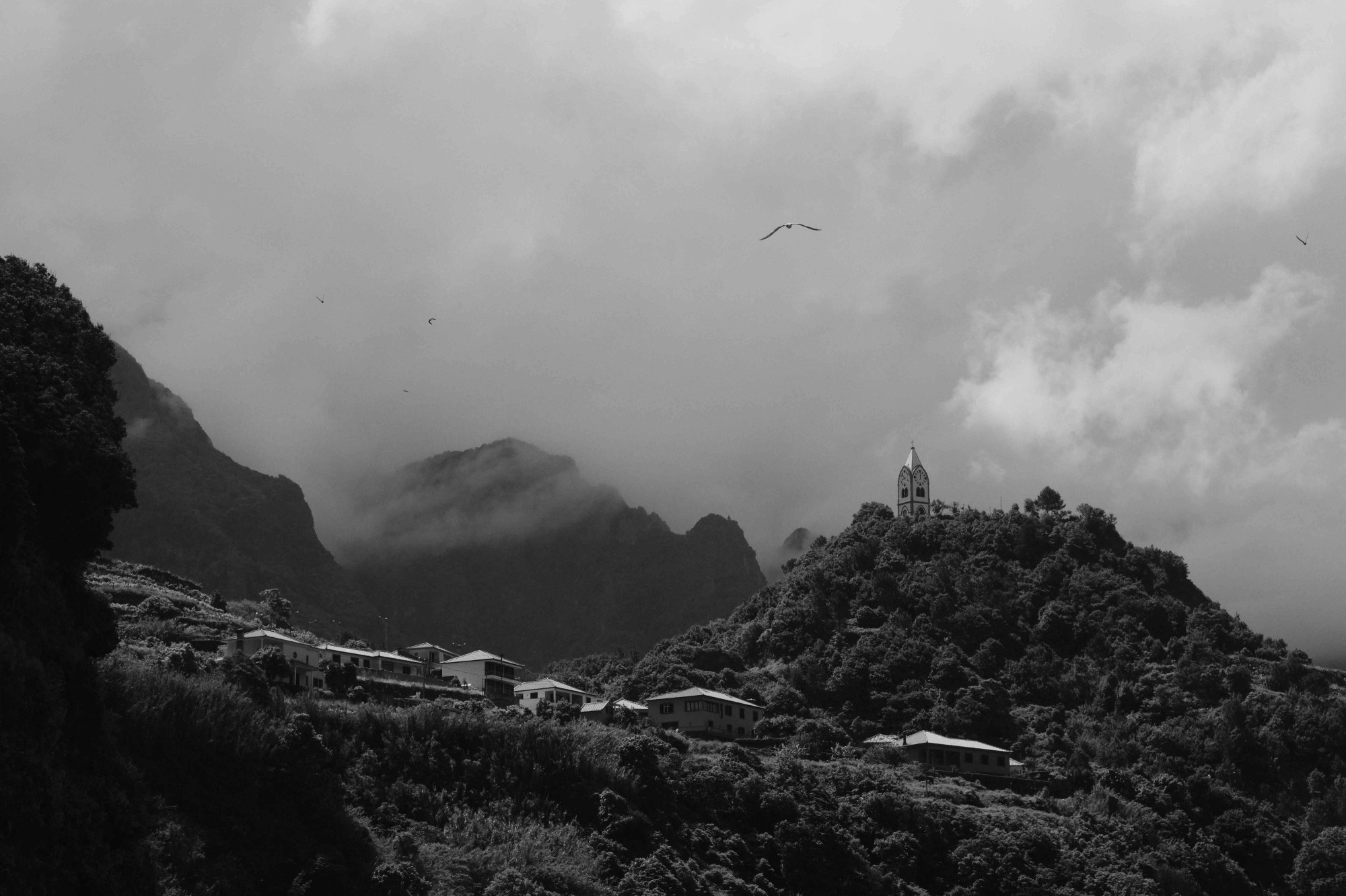 Monochrome Landscapes