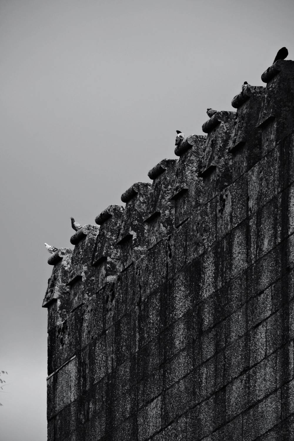 Guimarães Fragments