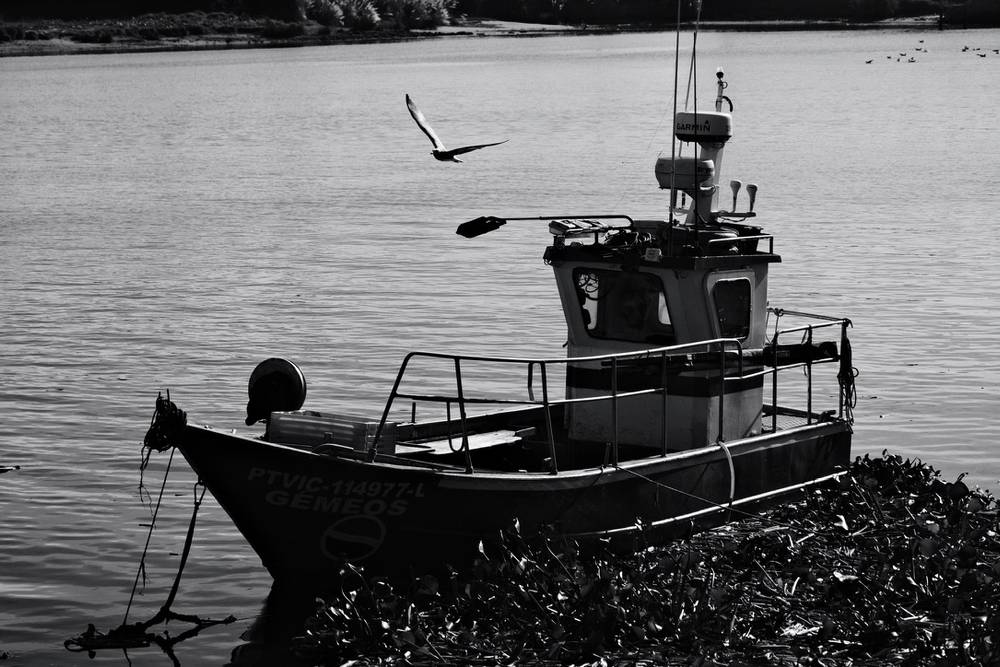 Fragments of Vila do Conde