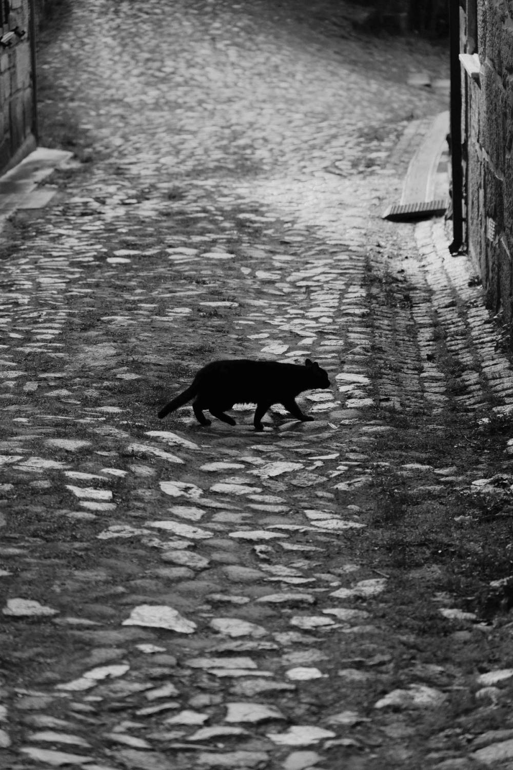 Beira Alta Fragments