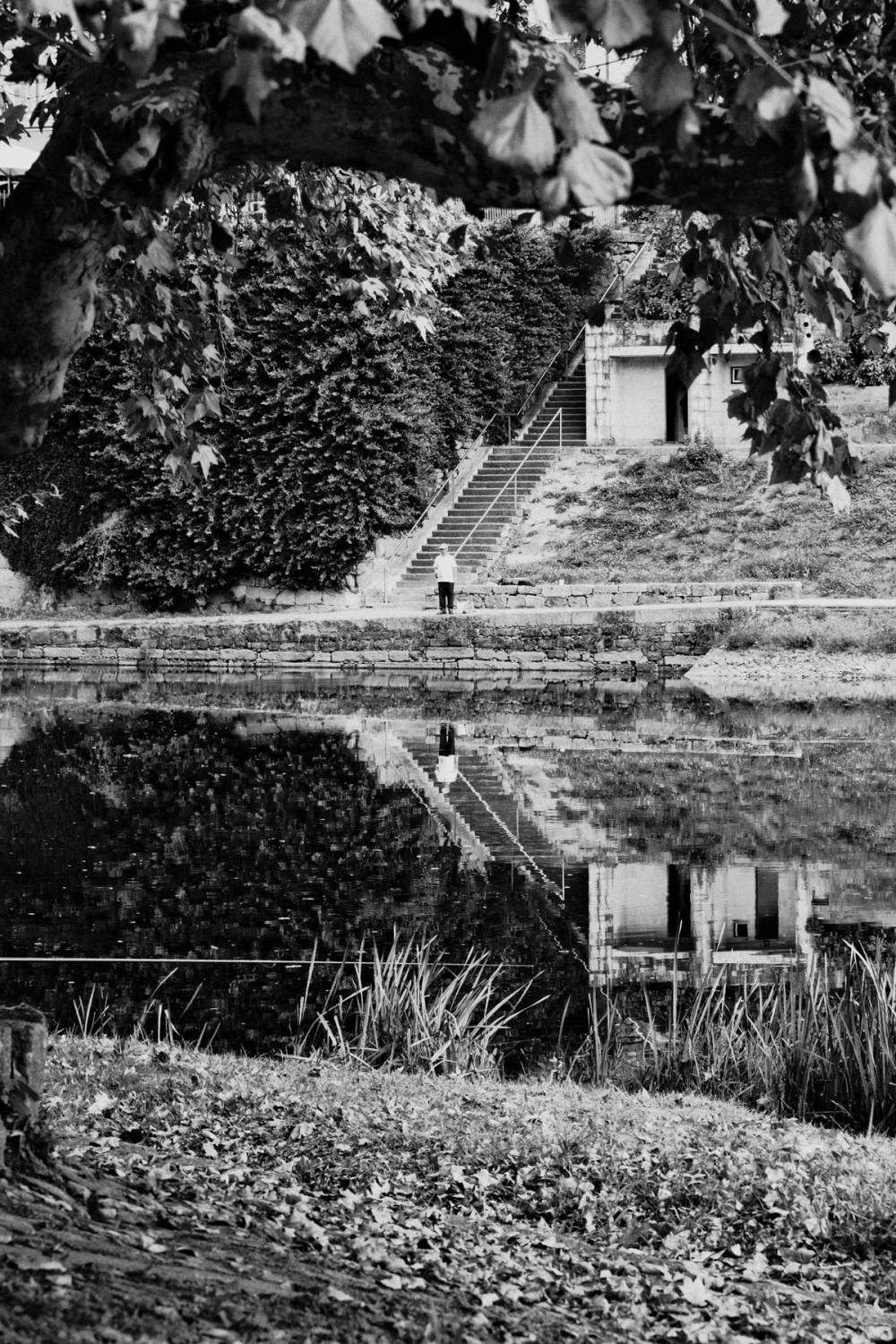 Fragments of Amarante