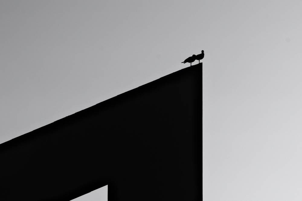 Fragments of Vila do Conde