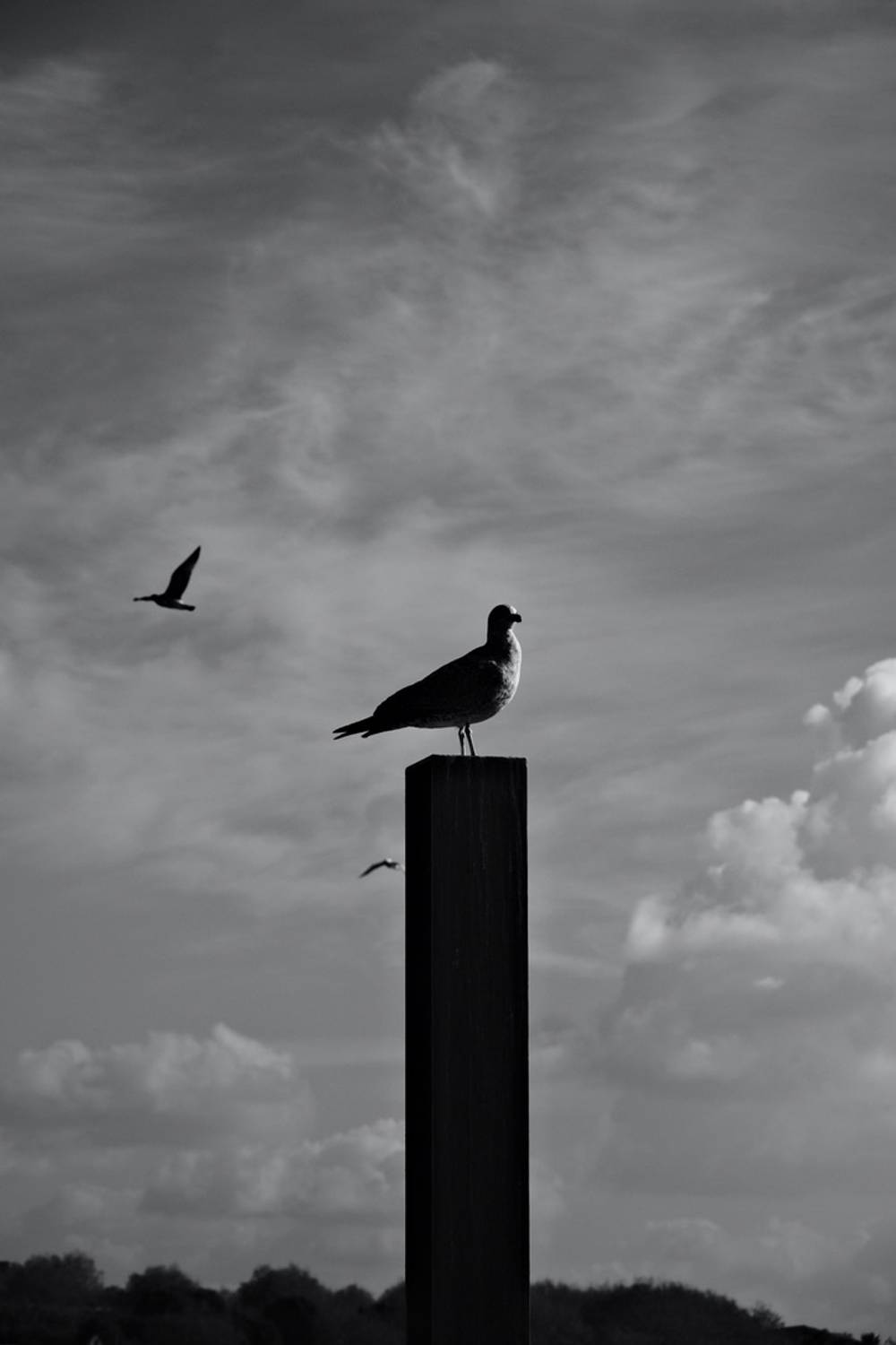 Fragments of Vila do Conde